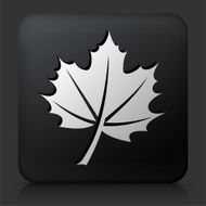 Black Square Button with Leaf Icon N19