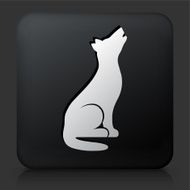 Black Square Button with Wolf Icon