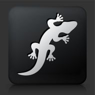 Black Square Button with Lizard Icon