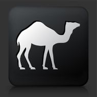 Black Square Button with Camel Icon