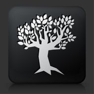 Black Square Button with Tree Icon N33