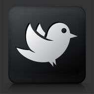 Black Square Button with Bird N3