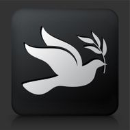 Black Square Button with Peace Dove Icon