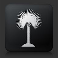 Black Square Button with Palm Tree Icon N20