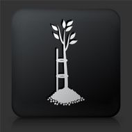 Black Square Button with Tree Icon N34