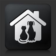 Black Square Button with Cat and Dog