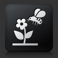 Black Square Button with Bee on Flower