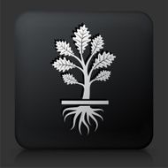 Black Square Button with Growing Plant N11