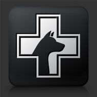 Black Square Button with Pet Health