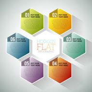 Hexagon Flat Infographic