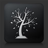 Black Square Button with Tree in Fall Icon