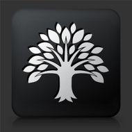 Black Square Button with Tree Icon N36
