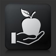 Black Square Button with Apple N6