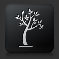 Black Square Button with Tree Icon N37