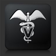 Black Square Button with Veterinary Sign N2