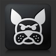 Black Square Button with Boston Terrier