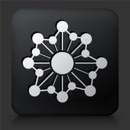 Black Square Button with Web Icon