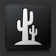 Black Square Button with Cactus Icon N2