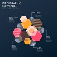 creative flat hexagon infographics design