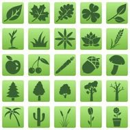Vector Set of Plants Icons N4