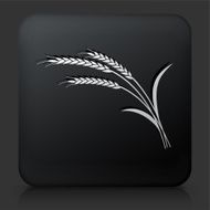 Black Square Button with Wheat Icon N4