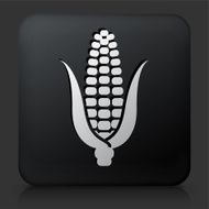 Black Square Button with Corn Cob