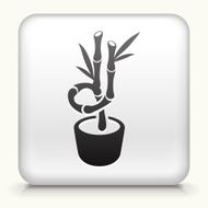 White Square Button with Bamboo Tree