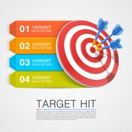 Graphic information target with darts N2