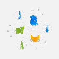 Set of veterinary icons N103