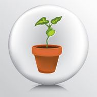 Round Icon With Terra Cotta Flower Pot and Bean Plant