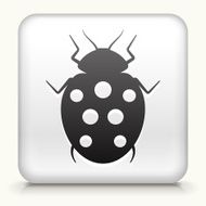 Square Button with Lady Bug interface icon