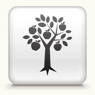 Square Button with Apple Tree interface icon
