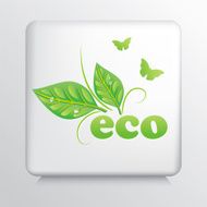 Square Icon With Green Leaves And The Word Eco N5