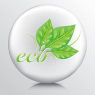 Round Icon With Green Leaves And The Word Eco N5