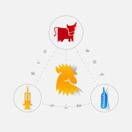 Set of veterinary icons N109