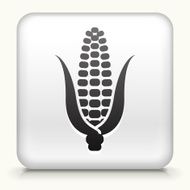 Square Button with Corn Cob