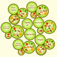 Vegetarian types infographic N2