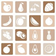 Vector Set of Fruit Icons N16