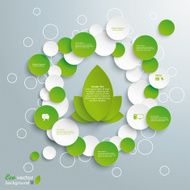 Green Leaves Infographic Circles