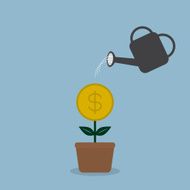 watering money coint plant N2
