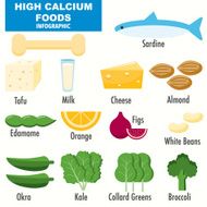 High Calcium Foods infographics