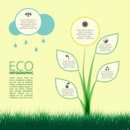 Infographic of ecology concept design with plant