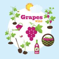 Vector garden illustration in flat style N8