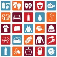Vector Set of Mix Martial Arts Icons N10