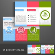 Professional business trifold brochure