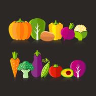 Organic farm vegetables illustration on black background