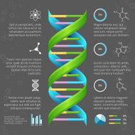 Infographic template with DNA structure for medical and biological research