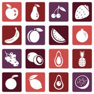 Vector Set of Fruit Icons N20