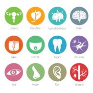 Vector icon set of human organs N2