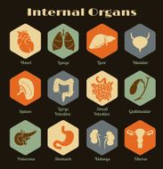 Set of retro icons with human internal orangs